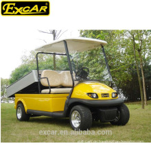 Billige 2 Plätze Golf Buggy Elektro Golf Auto